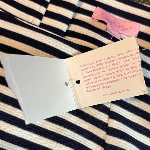 Lilly Pulitzer Charlene Dress S Navy White Ottoman Stripe Pockets Gold Buttons - Picture 8 of 10